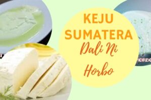 DaliNiHorbo2930x620jpg Komodo Dream